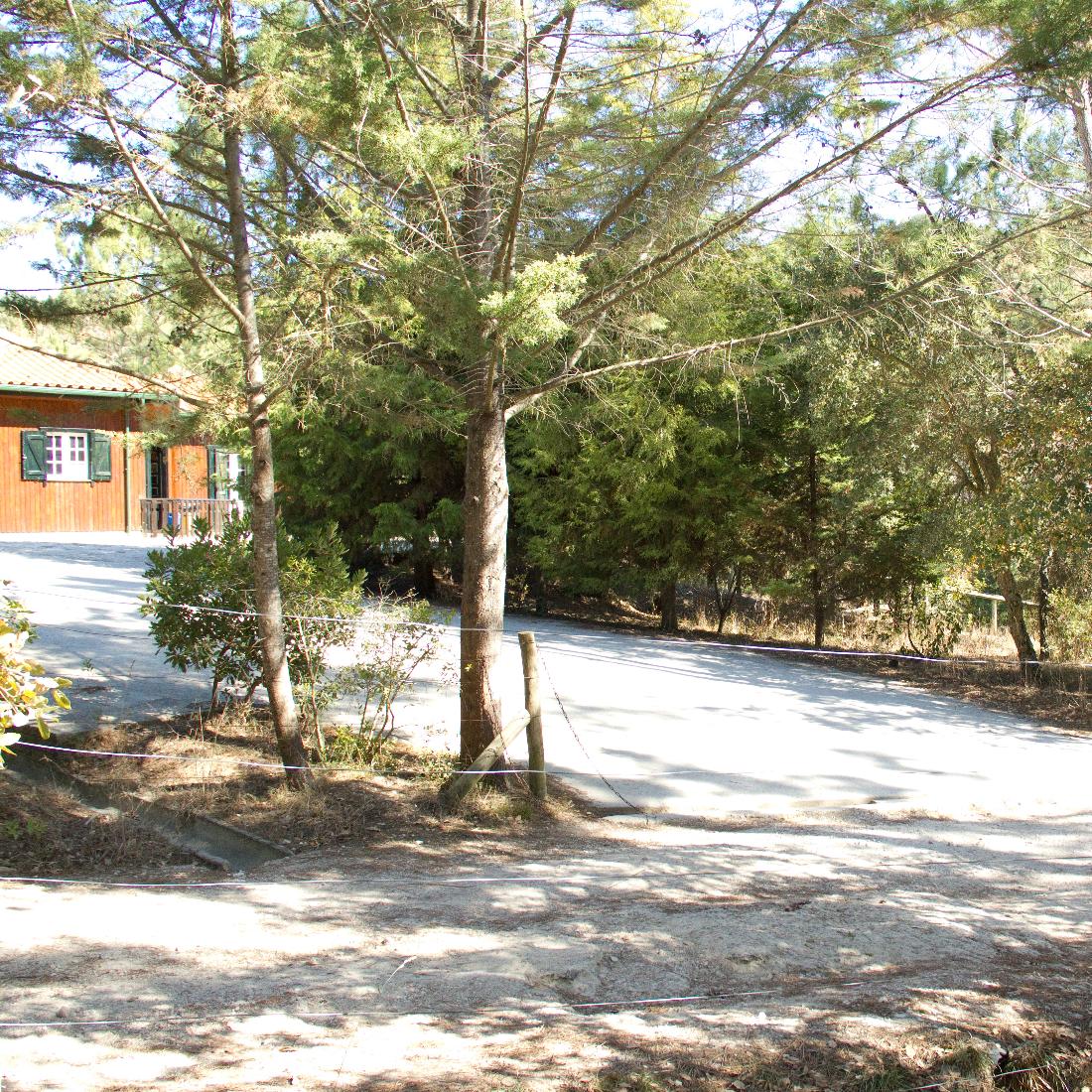 Iberian Wolf Recovery Center